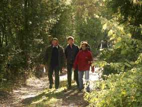 Herbstwanderung 2012 im Wald